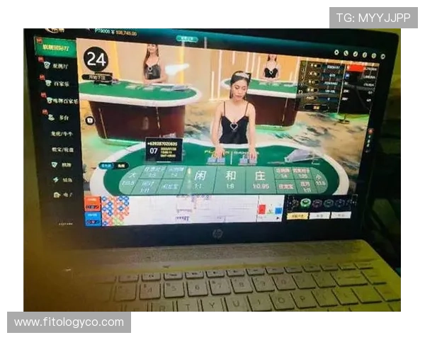 优质真人对赌平台网址汇总，提供多样化的线上娱乐与高额返利